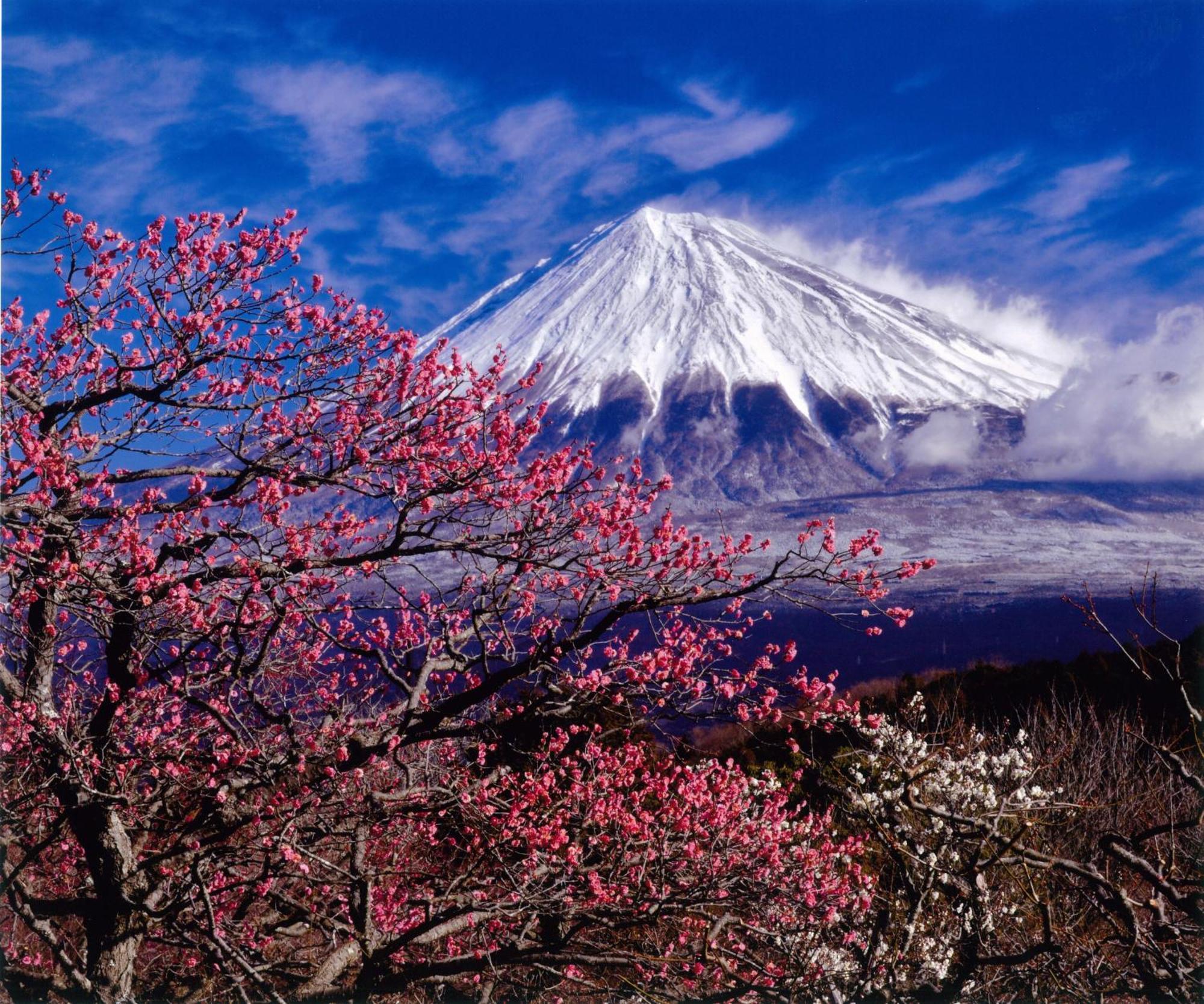 Kyukamura Fuji Fujinomiya Zewnętrze zdjęcie